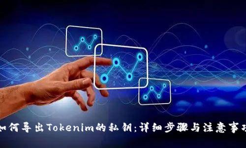 如何导出Tokenim的私钥：详细步骤与注意事项
