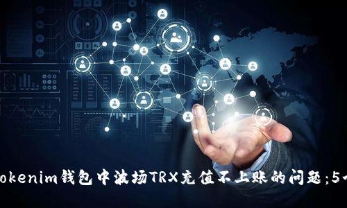 如何解决Tokenim钱包中波场TRX充值不上账的问题：5个解决方案