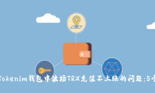 如何解决Tokenim钱包中波场TRX充值不上账的问题：5个解决方案