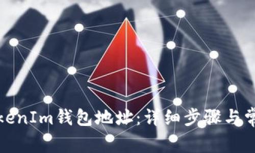 如何恢复TokenIm钱包地址：详细步骤与常见问题解答
