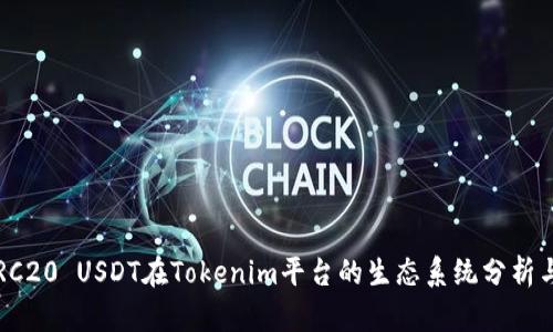 2023年ERC20 USDT在Tokenim平台的生态系统分析与投资指南