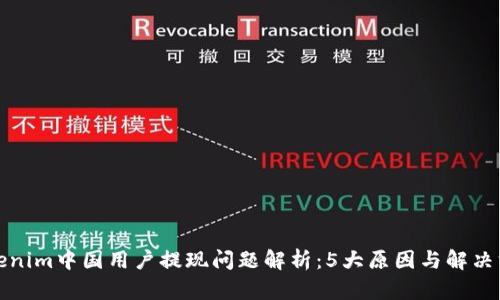 Tokenim中国用户提现问题解析：5大原因与解决方案