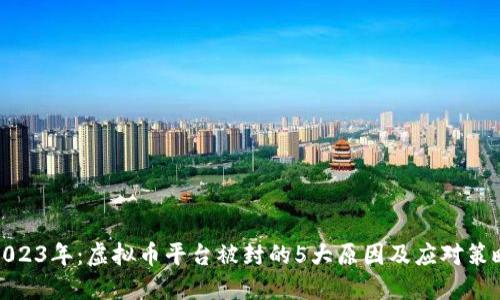 2023年：虚拟币平台被封的5大原因及应对策略