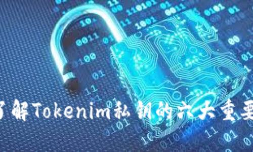 深入了解Tokenim私钥的六大重要作用!