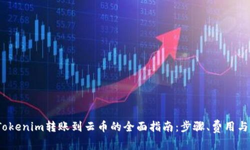 2023年Tokenim转账到云币的全面指南：步骤、费用与注意事项