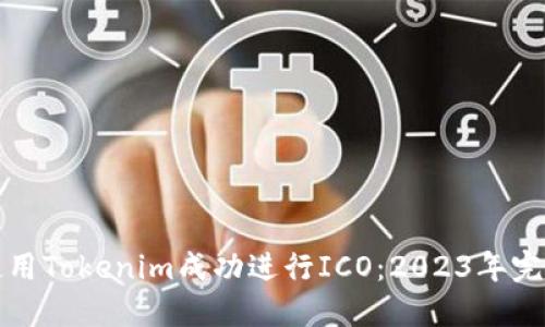如何使用Tokenim成功进行ICO：2023年完整指南