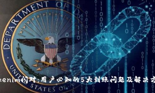 Tokenim闪对：用户必知的5大到账问题及解决方案