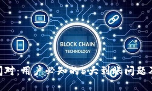 Tokenim闪对：用户必知的5大到账问题及解决方案