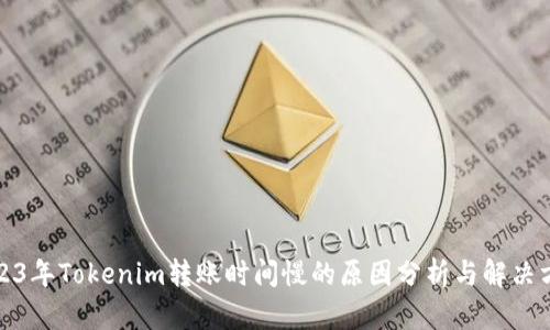 2023年Tokenim转账时间慢的原因分析与解决方案