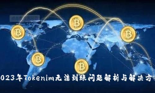 2023年Tokenim无法到账问题解析与解决方案