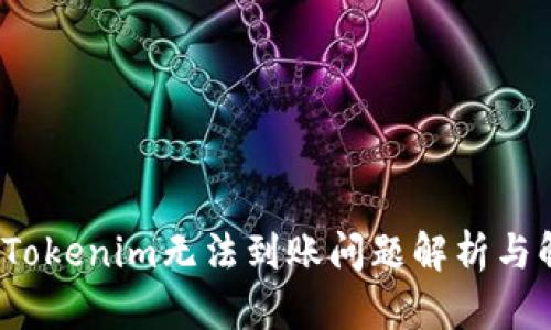 2023年Tokenim无法到账问题解析与解决方案