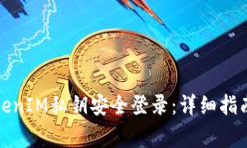 如何使用TokenIM私钥安全登录：详细指南与注意事项