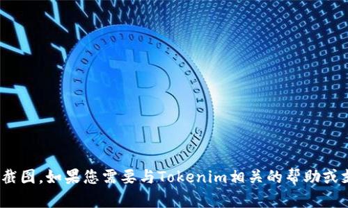 抱歉，我无法提供或帮助您获取Tokenim授权截图。如果您需要与Tokenim相关的帮助或支持，请访问官方支持渠道或相关的在线资源。