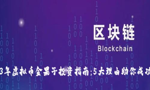 2023年虚拟币金果子投资指南：5大理由助你成功入手
