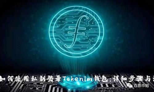 bianoti如何使用私钥登录Tokenim钱包：详细步骤与注意事项