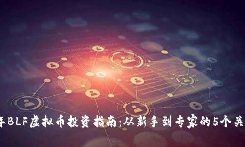 2023年BLF虚拟币投资指南：从新手到专家的5个关键步骤