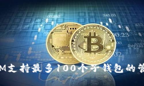 TokenIM支持最多100个子钱包的管理技巧
