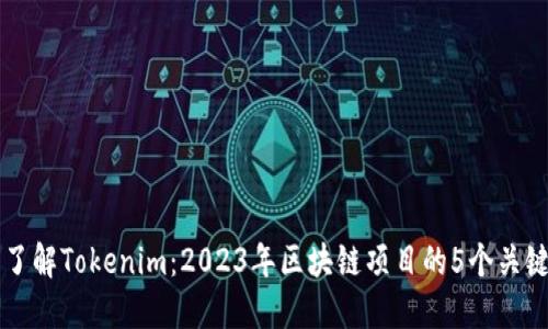 深入了解Tokenim：2023年区块链项目的5个关键要素
