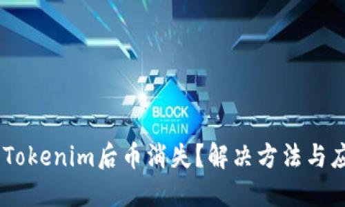 # 重装Tokenim后币消失？解决方法与应对措施