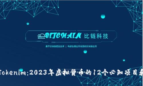 揭秘Tokenim：2023年虚拟货币的12个必知项目和趋势