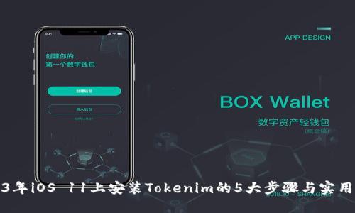 2023年iOS 11上安装Tokenim的5大步骤与实用技巧