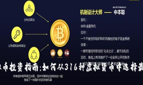2023年虚拟币投资指南：如何从316种虚拟货币中选择最佳投资机会