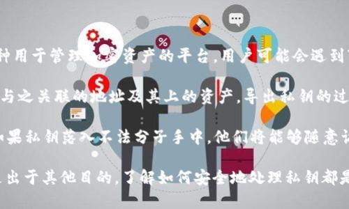 在区块链和加密货币的世界里，“私钥”意味着一种至关重要的安全元素，尤其涉及到您的数字资产管理。Tokenim是一种用于管理加密资产的平台，用户可能会遇到“导出私钥”的选项。这句话的意思是，用户想要获取或保存他们的私钥，以便在需要时能够对自己的数字资产进行管理。

私钥的基本概念是，它是一个强大的加密代码，用于控制和访问存储在区块链上的加密货币。拥有私钥就能够完全控制与之关联的地址及其上的资产。导出私钥的过程常常涉及将该私钥以某种安全格式呈现，通常是通过钱包软件提供的界面。

虽然导出私钥带来了许多便利，例如能够在不同的钱包之间转移资产、备份或恢复您的钱包，但同时它也附带了风险。如果私钥落入不法分子手中，他们将能够随意访问和转移您的数字资产。因此，在导出私钥后，务必妥善保管，不要将其泄露给任何人。

对许多用户来说，理解“导出私钥”的意义在于能够更好地管理和保护他们的加密资产。无论是为了备份、迁移资产，还是出于其他目的，了解如何安全地处理私钥都是每位加密货币持有者不可或缺的技能。