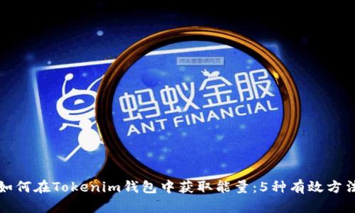 如何在Tokenim钱包中获取能量：5种有效方法