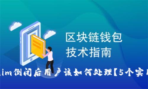 Tokenim倒闭后用户该如何处理？5个实用建议