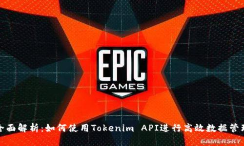 全面解析：如何使用Tokenim API进行高效数据管理