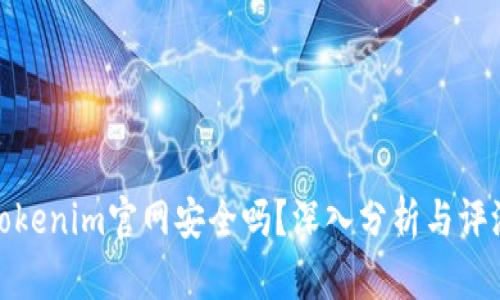 Tokenim官网安全吗？深入分析与评测