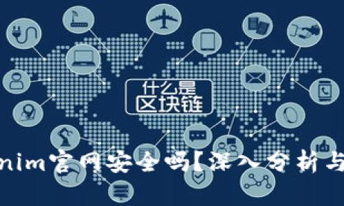 Tokenim官网安全吗？深入分析与评测