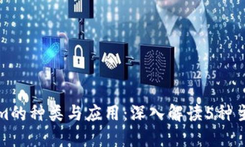 Tokenim的种类与应用：深入解读5种主要类型