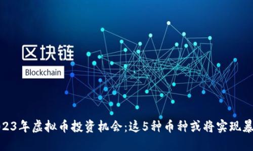 2023年虚拟币投资机会：这5种币种或将实现暴涨
