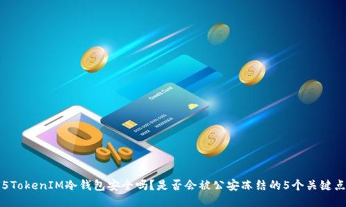 5TokenIM冷钱包安全吗？是否会被公安冻结的5个关键点