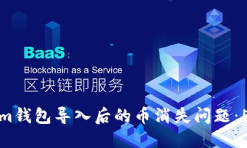如何解决Tokenim钱包导入后的币消失问题：5个实用解决方案
