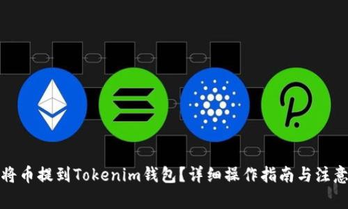 如何将币提到Tokenim钱包？详细操作指南与注意事项