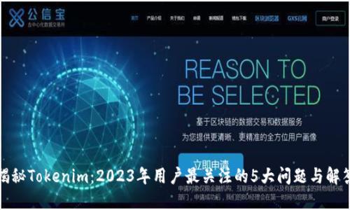 揭秘Tokenim：2023年用户最关注的5大问题与解答
