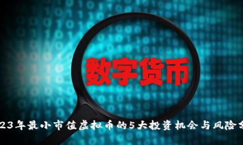 2023年最小市值虚拟币的5大投资机会与风险分析