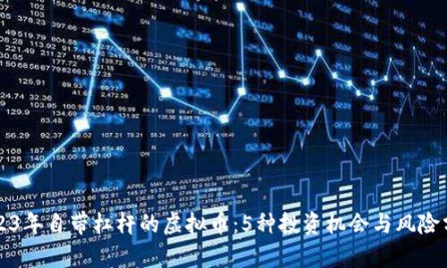 2023年自带杠杆的虚拟币：5种投资机会与风险分析