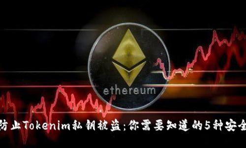 如何防止Tokenim私钥被盗：你需要知道的5种安全措施
