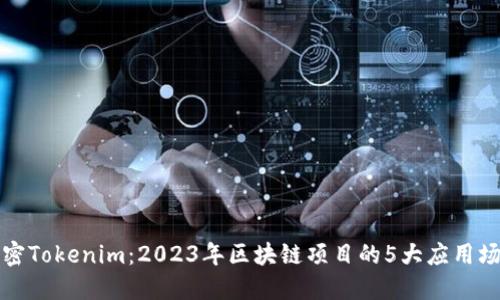 解密Tokenim：2023年区块链项目的5大应用场景
