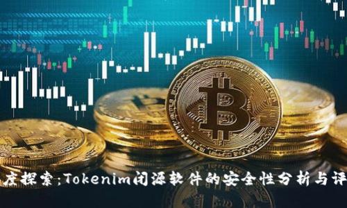 深度探索：Tokenim闭源软件的安全性分析与评估