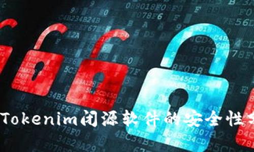 深度探索：Tokenim闭源软件的安全性分析与评估