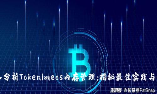 深入分析Tokenimeos内存管理：揭秘最佳实践与性能
