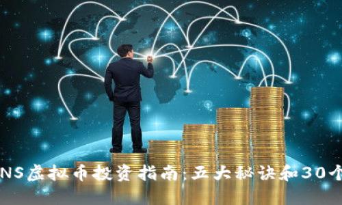 2023年最佳DNS虚拟币投资指南：五大秘诀和30个优质项目推荐
