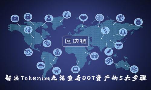 解决Tokenim无法查看DOT资产的5大步骤