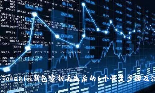 2023年Tokenim钱包密钥丢失后的6个恢复步骤及注意事项