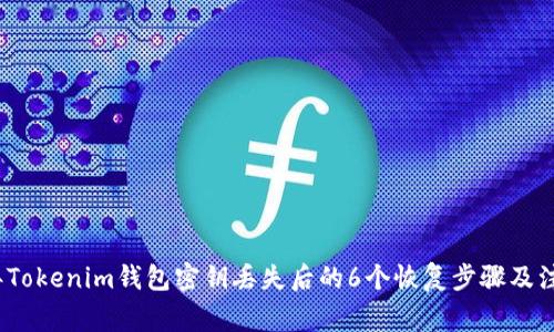 2023年Tokenim钱包密钥丢失后的6个恢复步骤及注意事项