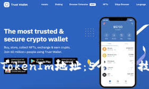 如何快速查询TokenIm地址：5个实用技巧与注意事项